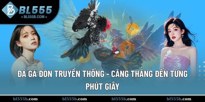 Đá Gà Đòn Truyền Thống - Căng Thẳng Đến Từng Phút Giây